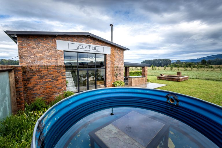 Belvidere Low Res 0013 768x512