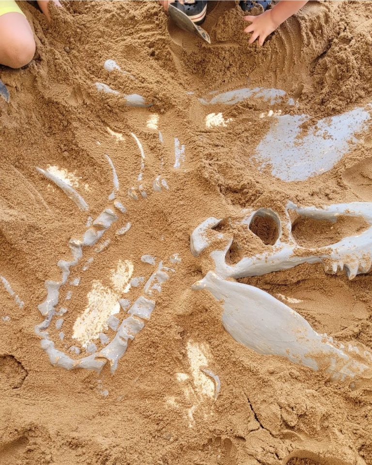 The Dinosaur Dig The Dinosaur Dig