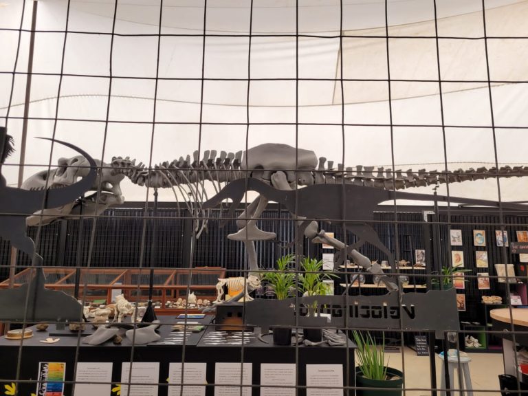 Marmaduke the T-Rex Marmaduke the T-Rex