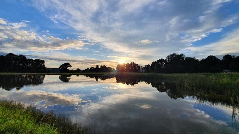 5E872B79 AFE0 4F9C B95E B10BC5817EF8 768x432