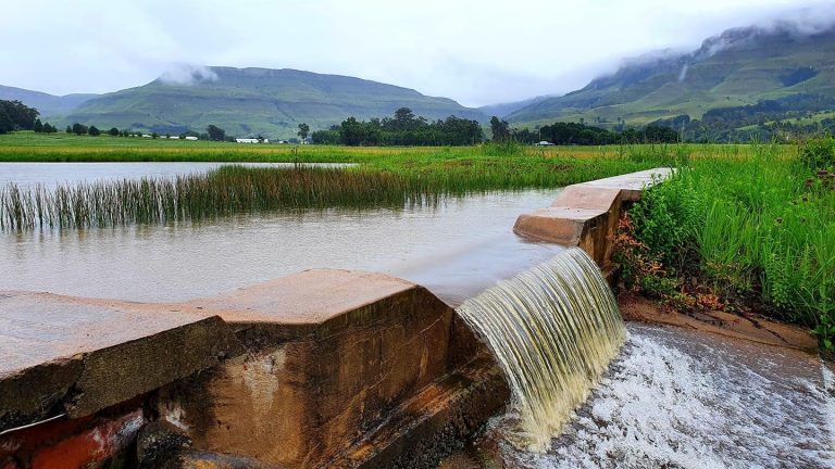 6C9137C3 5DC0 40A9 B01E ED17317FD82A 768x432