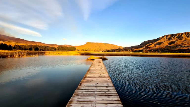 98650878 742B 4E10 85CB D0BA02055226 768x432