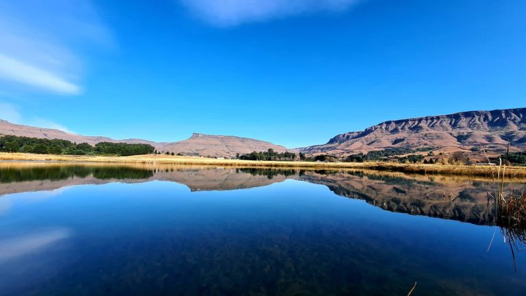 B28C7ADE 84A0 4287 A5EE 7C442AB3639A 768x432